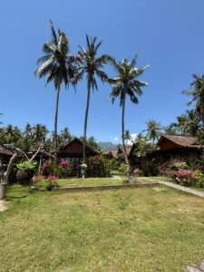 whatsapp image 2025 11 24 at 10.38.13