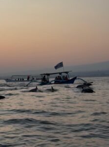 whatsapp image 2025 11 24 at 11.23.52