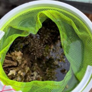 whatsapp image 2025 11 24 at 11.40.52