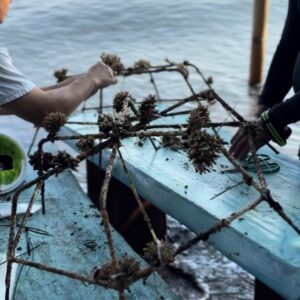 whatsapp image 2025 11 24 at 11.40.53